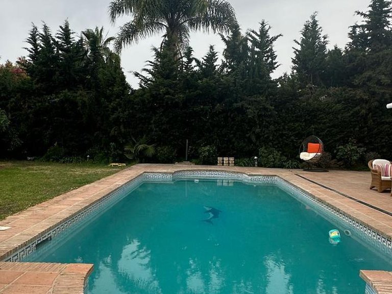 Villa for Rent in Marbella, Malaga 10