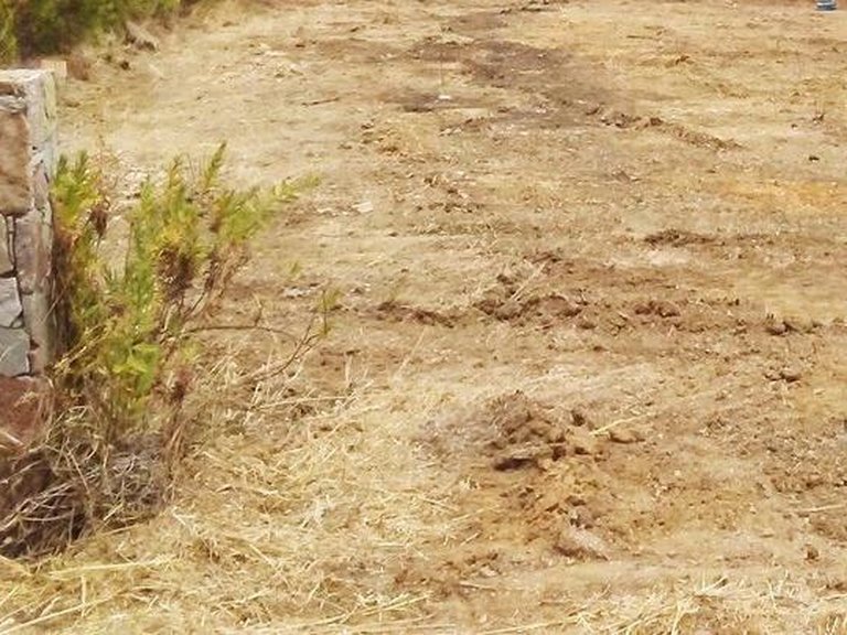 Plot for Sale in Sotogrande, Cadiz 16