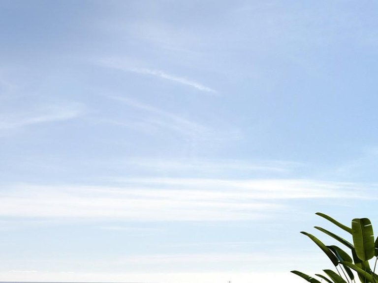 Apartment for Sale in Marbella, Malaga 15