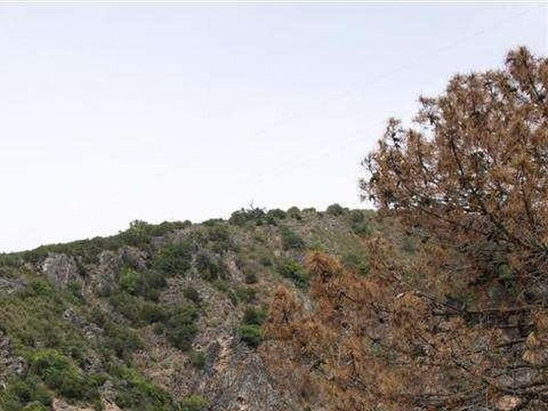 Plot for Sale in Benahavis, Malaga 8