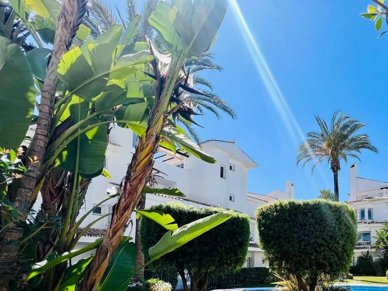 Apartment for Rent in Marbella, Malaga 11