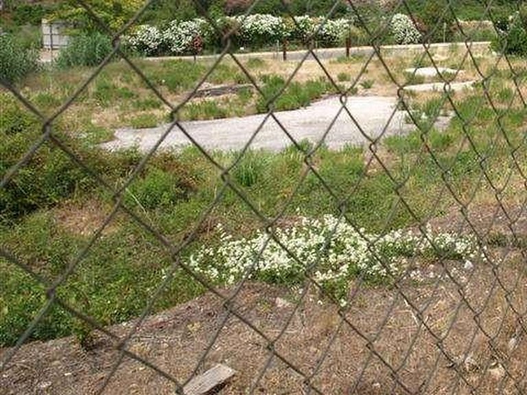 Plot for Sale in Benahavis, Malaga 31