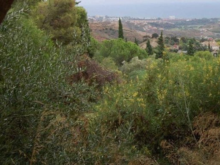 Plot for Sale in Marbella, Malaga 9