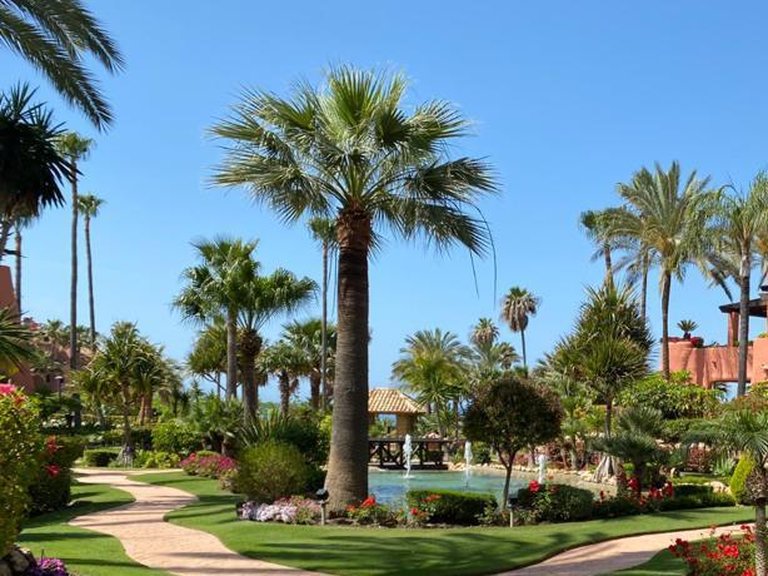 Apartment for Sale in Estepona, Malaga 21
