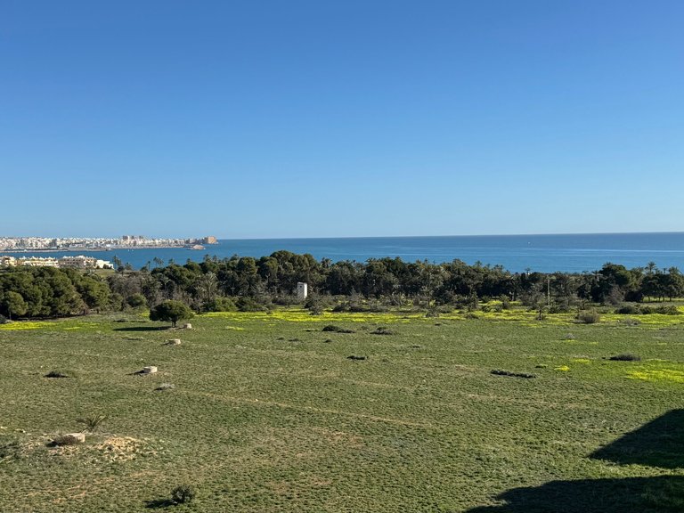 Apartment for Sale in Punta Prima, Alicante 36