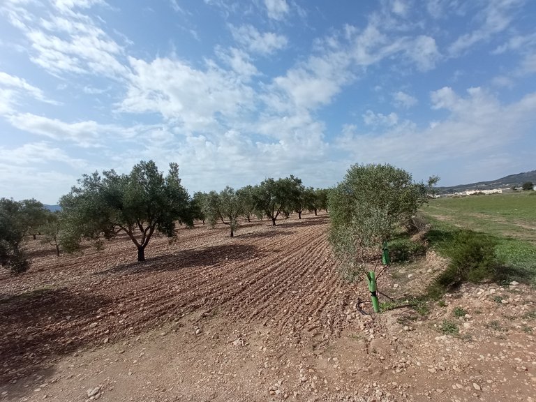 Plot for Sale in Salinas, Alicante 4