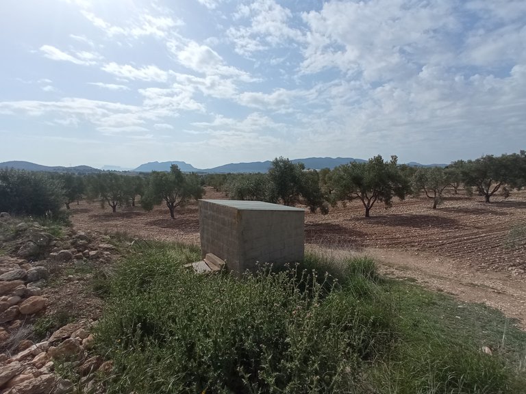 Plot for Sale in Salinas, Alicante 1