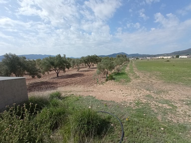 Plot for Sale in Salinas, Alicante 8