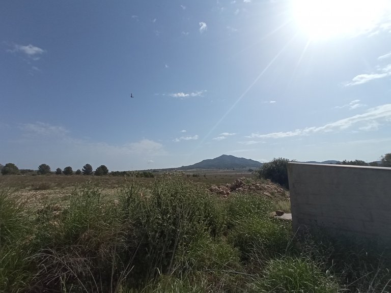 Plot for Sale in Salinas, Alicante 6