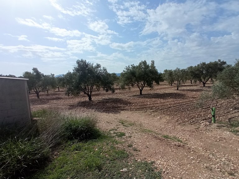 Plot for Sale in Salinas, Alicante 5