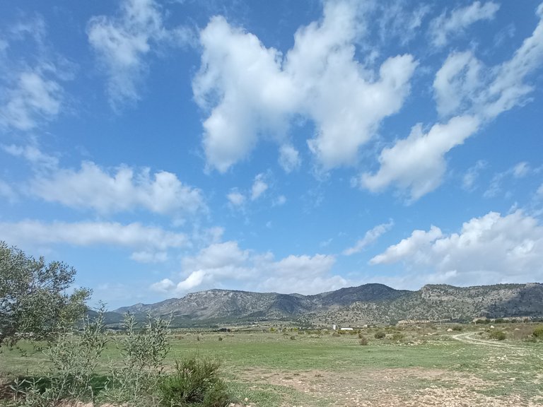 Plot for Sale in Salinas, Alicante 7