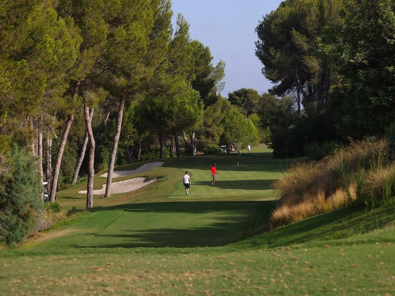 Villa for Sale in Dehesa De Campoamor, Alicante 19