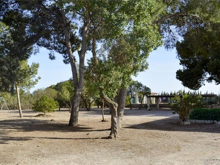 Villa for Sale in Los Alc&aacute;zares, Murcia 6