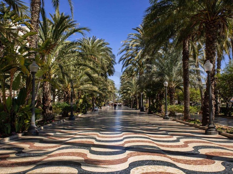 Apartment for Sale in Alicante, Alicante 12