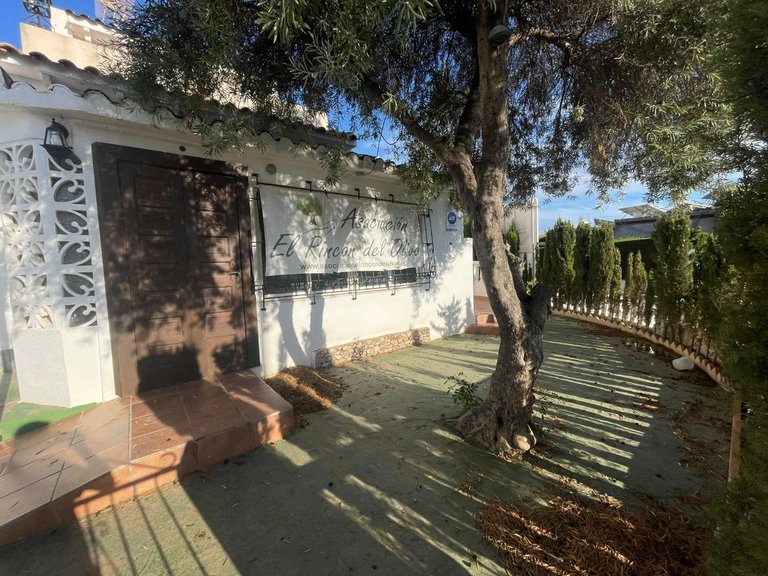 Commercial for Sale in Orihuela, Alicante 3
