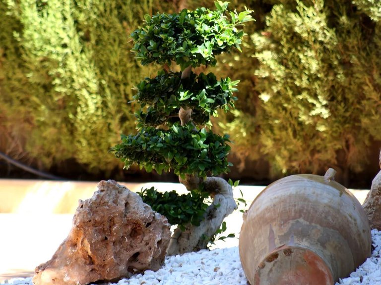 Villa for Sale in Mutxamel, Alicante 5