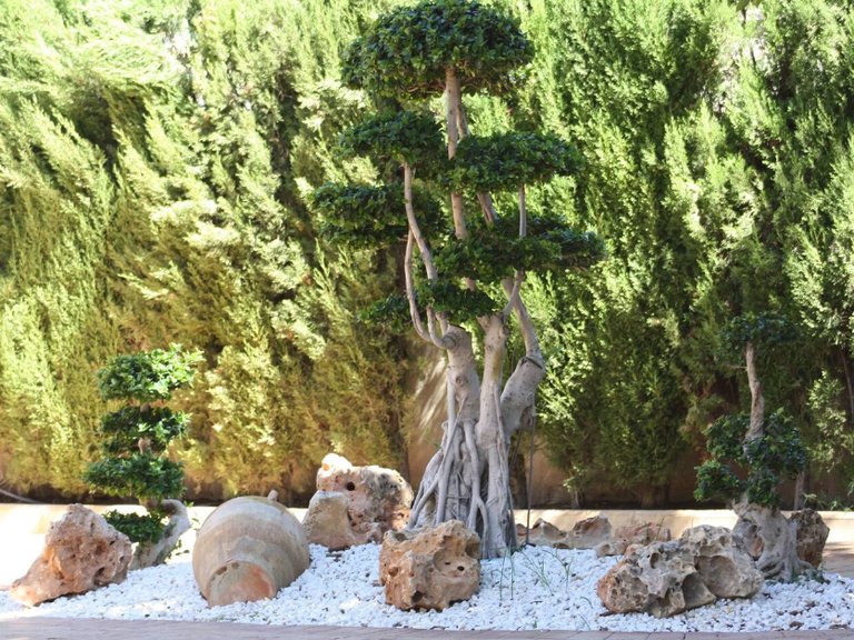 Villa for Sale in Mutxamel, Alicante 12