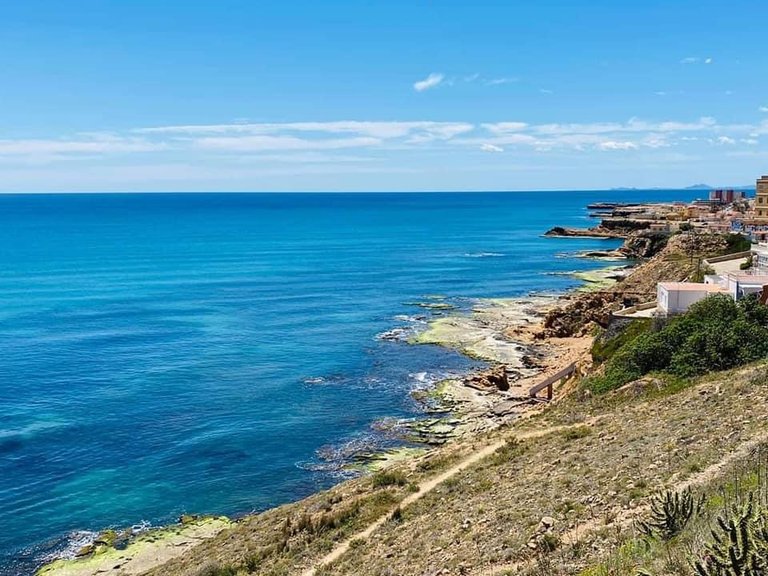 Commercial for Sale in Torrevieja, Alicante 4