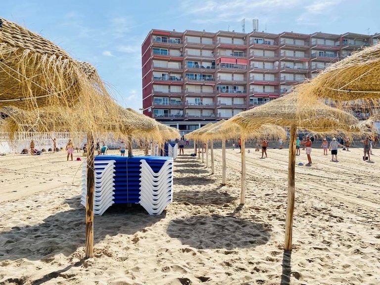 Commercial for Sale in Torrevieja, Alicante 8