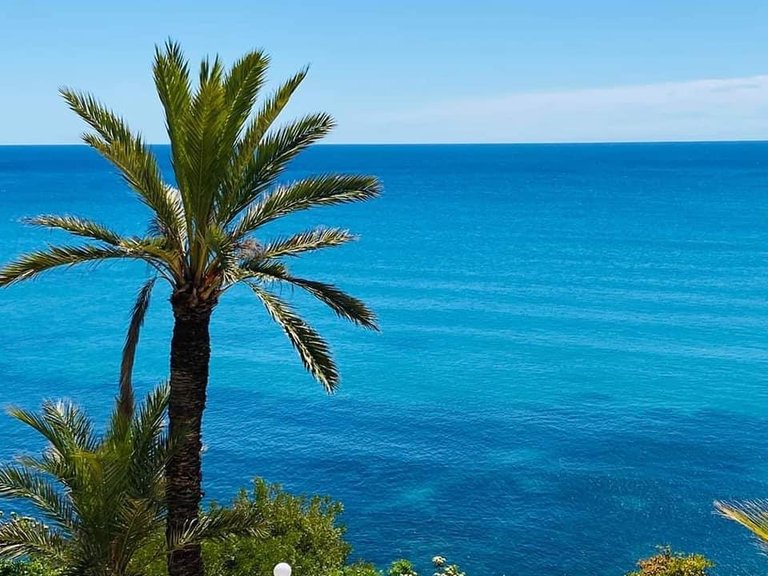Apartment for Sale in Torrevieja, Alicante 27