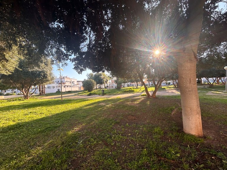 Villa for Sale in Orihuela, Alicante 27