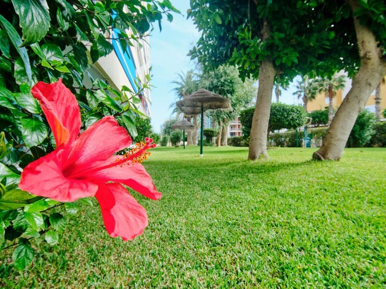 Apartment for Sale in Orihuela, Alicante 30