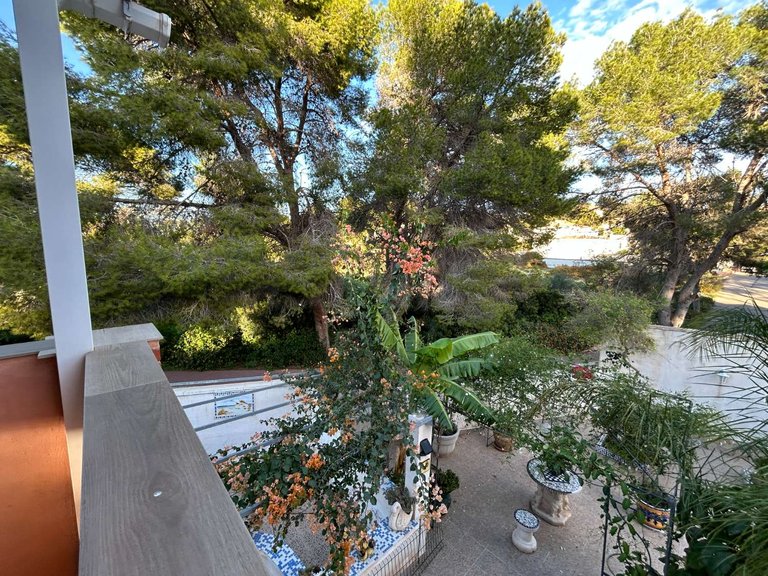 Villa for Sale in Torrevieja, Alicante 48