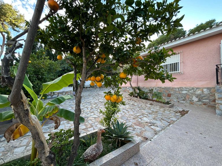 Villa for Sale in Torrevieja, Alicante 43