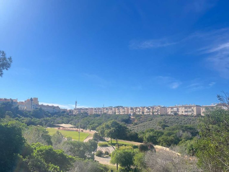 Villa for Sale in Torrevieja, Alicante 49