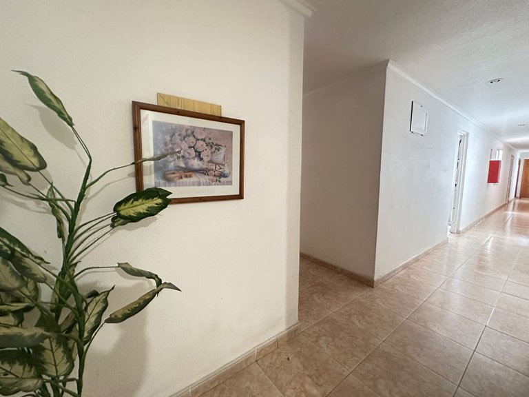 Apartment for Sale in Torrevieja, Alicante 5