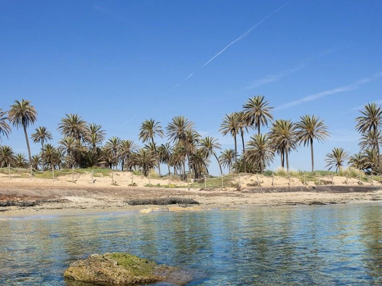 Apartment for Sale in Orihuela, Alicante 13