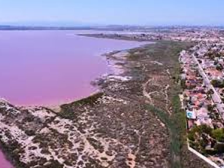 Villa for Sale in Torrevieja, Alicante 18