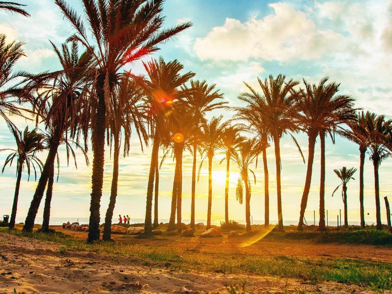 Town House for Sale in Torrevieja, Alicante 34