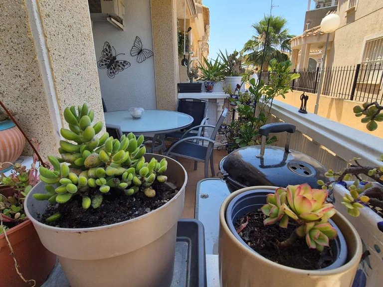 Town House for Sale in Orihuela, Alicante 7