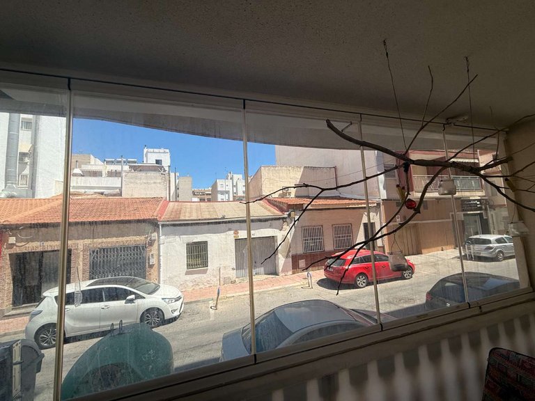 Apartment for Sale in Torrevieja, Alicante 29