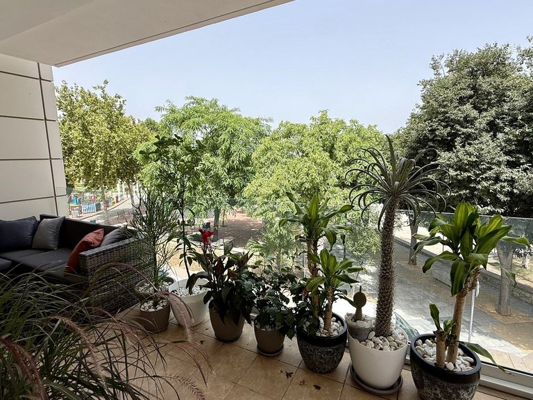 Apartment for Sale in Costa de Valencia Oliva, Valencia 10