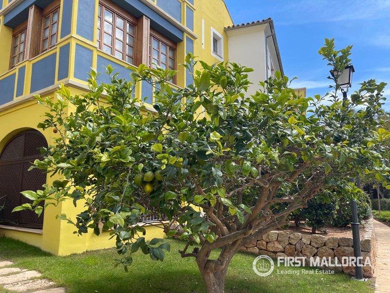 Apartment for Sale in Bendinat, Balearic Islands 1