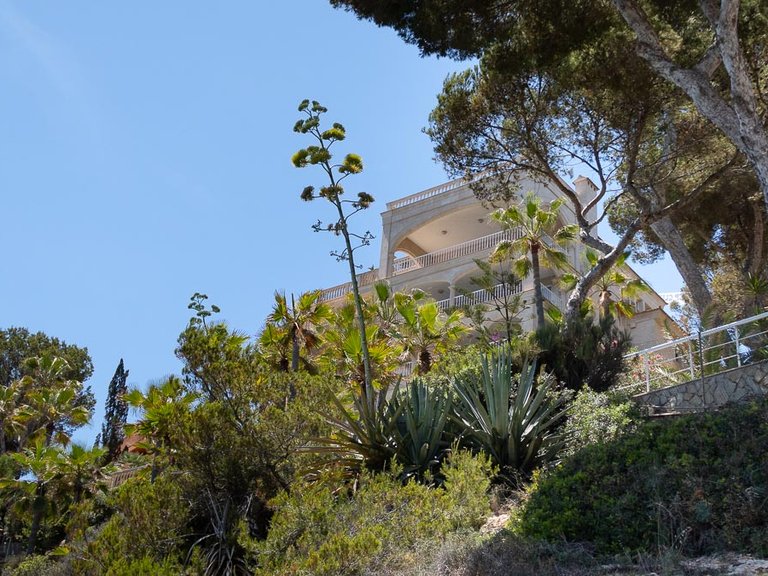Villa for Sale in Cala Vinyas, Balearic Islands 17
