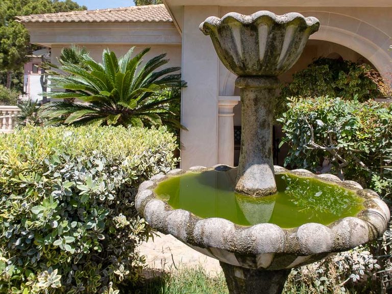 Villa for Sale in Cala Vinyas, Balearic Islands 18