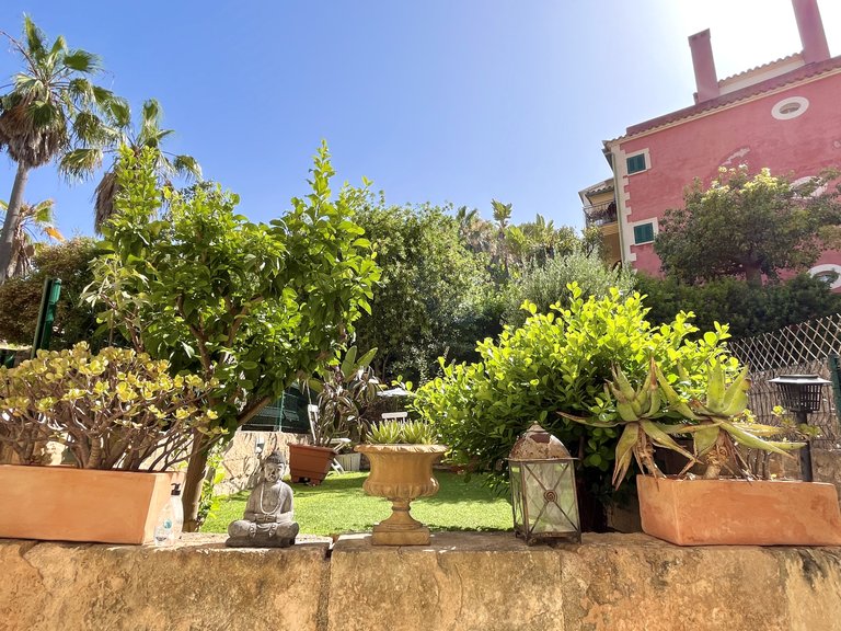 Apartment for Rent in Santa Ponsa, Balearic Islands 5