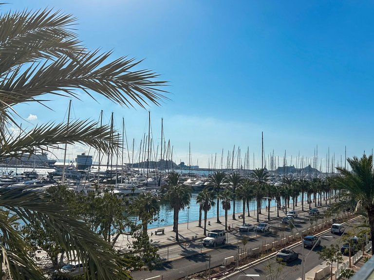 Apartment for Sale in Palma De Mallorca, Balearic Islands 23