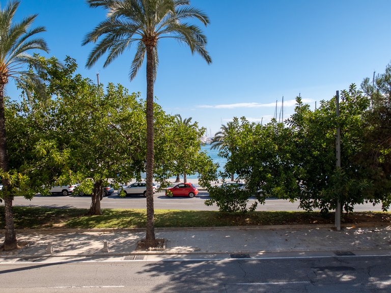 Apartment for Sale in Palma De Mallorca, Balearic Islands 8