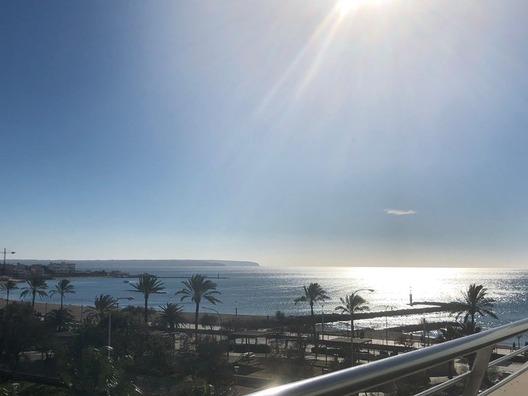 Apartment for Rent in Molinar & Portixol, Balearic Islands 11