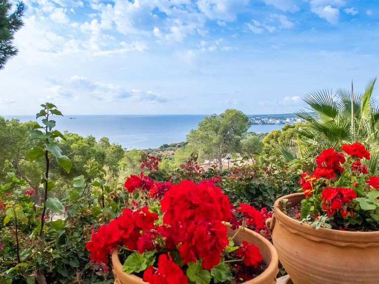 Villa for Rent in Costa D´en Blanes, Balearic Islands 8