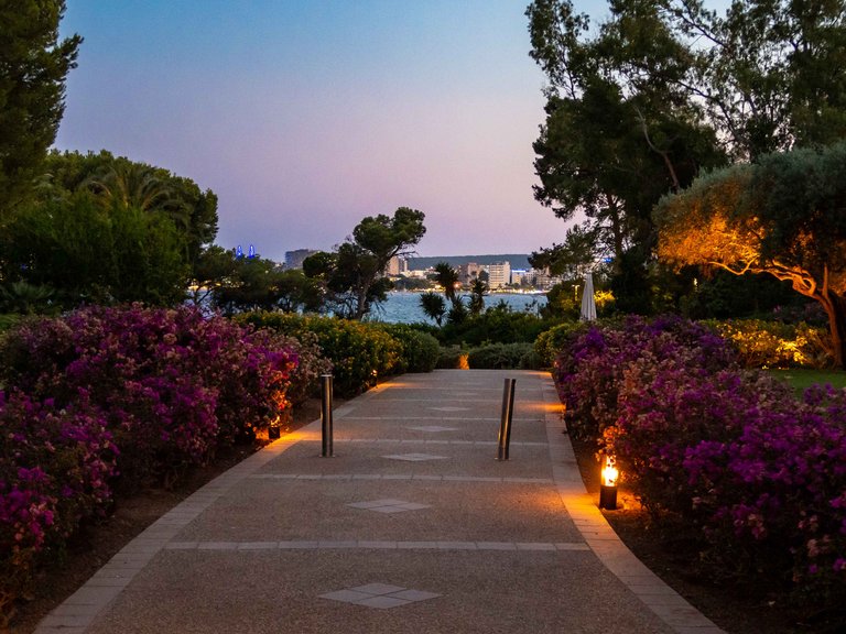 Apartment for Rent in Mardavall, Balearic Islands 25
