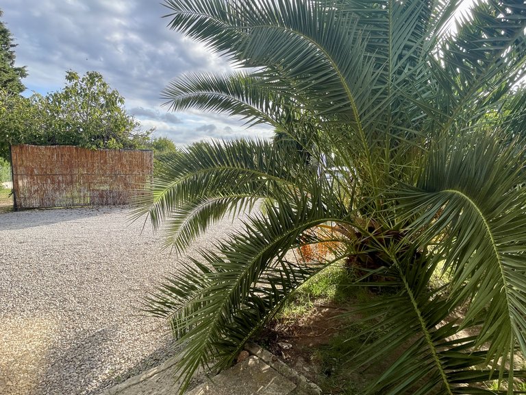 Villa for Sale in Establiments, Balearic Islands 10