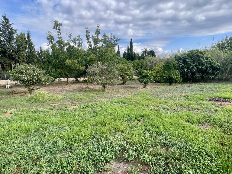 Villa for Sale in Establiments, Balearic Islands 18