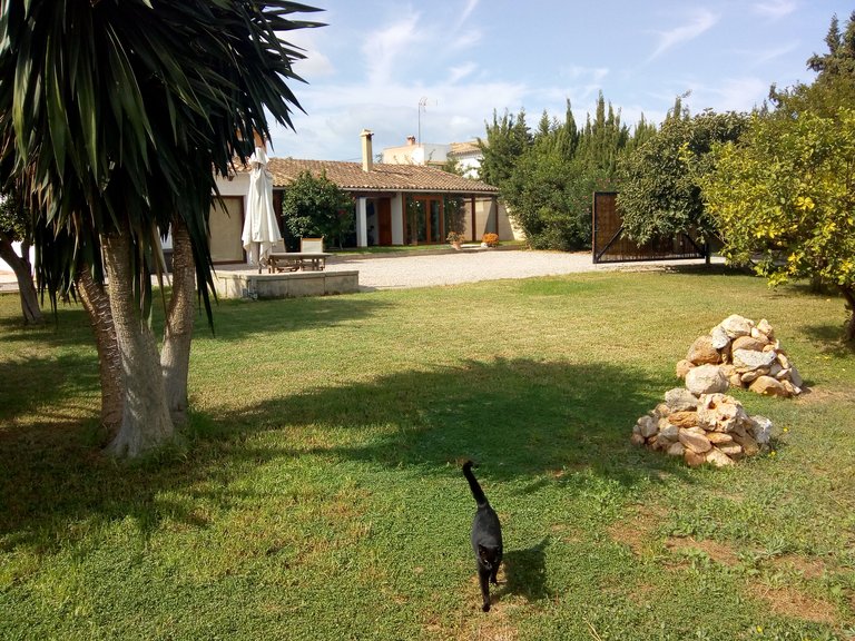 Villa for Sale in Establiments, Balearic Islands 1