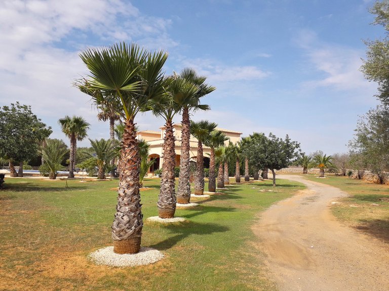 Country House for Sale in Santanyí, Balearic Islands 25