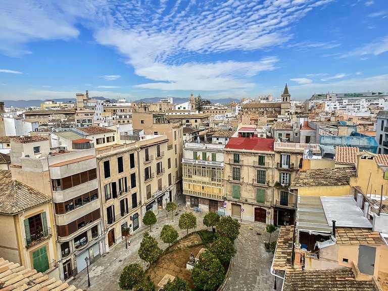 Apartment for Rent in Palma De Mallorca, Balearic Islands 13